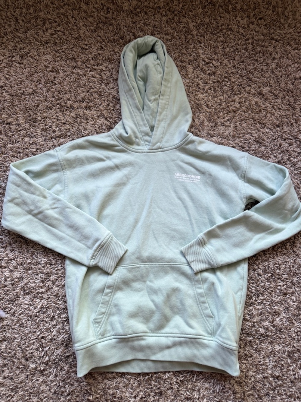 abercrombie kids Light Mint Pullover Hoodie